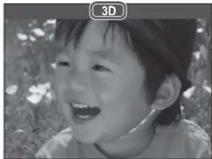 FUJIFILM FinePix REAL 3D V1 - Multi-Frame Playback - 2