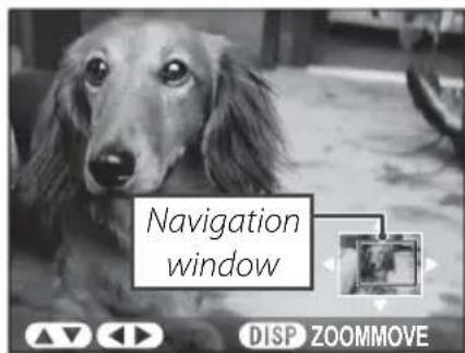 Navigation window DISP ZOOMMOVE