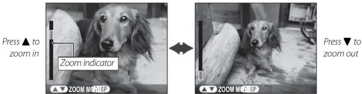 Press ▲ to zoom in Zoom indicator ZOOM MOV:SP ZOOM MOV:SP ZOOM MOV:SP Press ▼ to zoom out