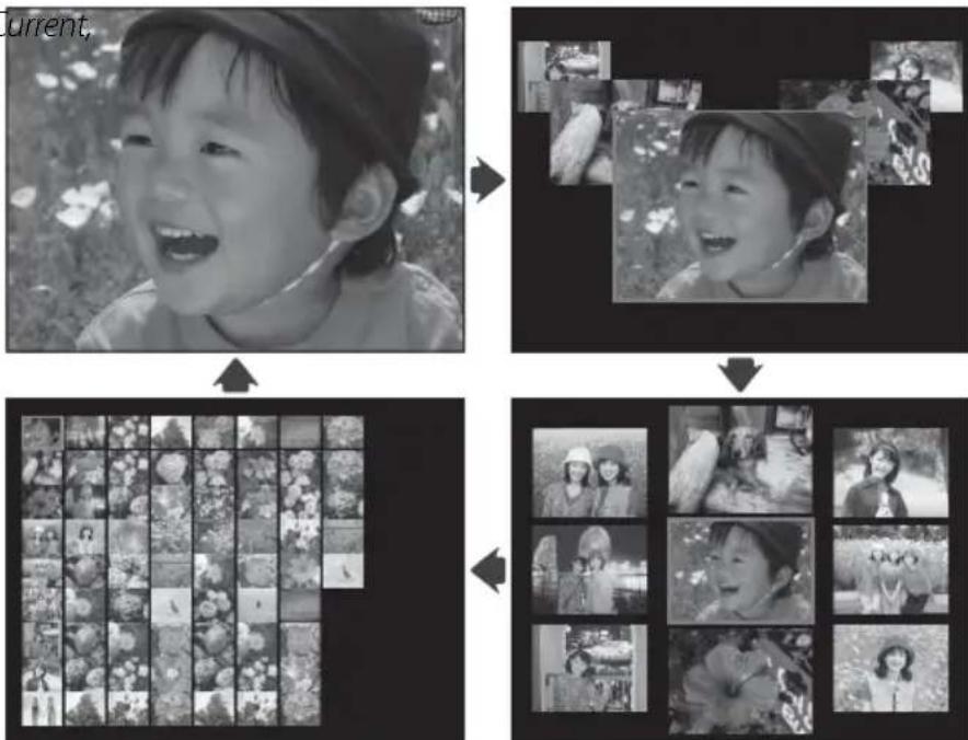 FUJIFILM FinePix REAL 3D V1 - Multi-Frame Playback - 1