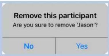 Remove this participant Are you sure to remove 'Jason'? No Yes