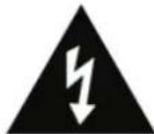 IGS Audio Panzer 500 - CAUTION / AVIS - 1