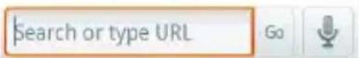 LG Ally - To go to a webpage - 1