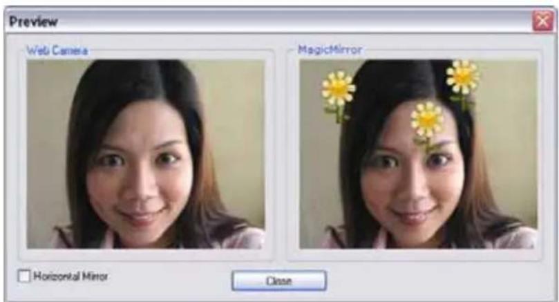 Preview Web Camera MagicMirror Horizontal Mirror Close