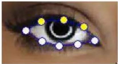 GENIUS Eye 110 - Deutsch - 4