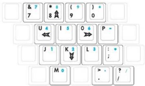 ASUS A8JS - Keyboard as Cursors - 1