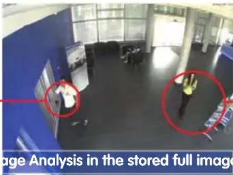 Image Analysis in the stored full image