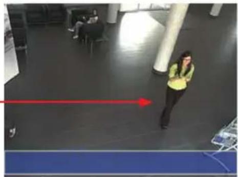 Mobotix D24M - Full Image Storage - 3