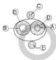 LG ARUV168DTE5 - Good example - 1