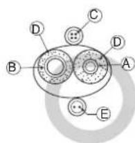 LG ARUN240BTE5 - Good example - 1