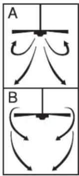 A B
