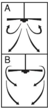 A B