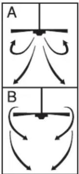 A B