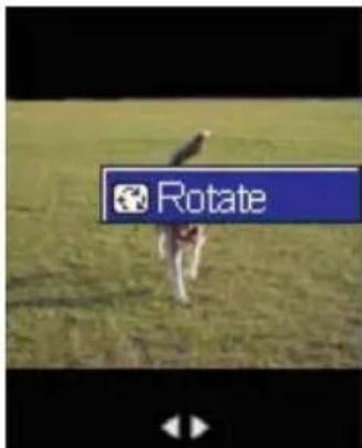 Rotate