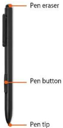 Pen eraser Pen button Pen tip