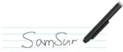 SAMSUNG Slate PC 7 - Using the digitizer pen - 4