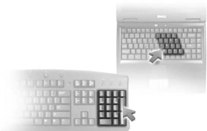 DELL Inspiron E1505 - Numerischer Tastenblock - 1