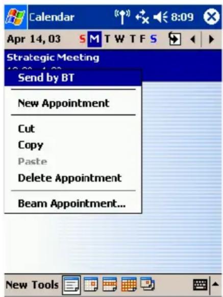Calendar Apr 14, 03 S M T W T F S Strategic Meeting Send by BT New Appointment Cut Copy Paste Delete Appointment Beam Appointment... New Tools