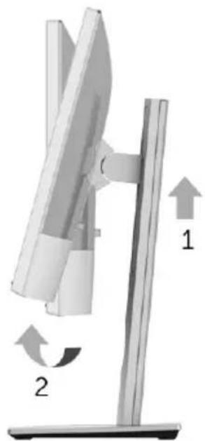 DELL MR2217 - Rotating the Monitor - 1