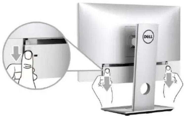 DELL MR2217 - Removing the Cable Cover - 1