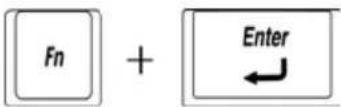 TOSHIBA Mini NB100 - Emulating keys on an enhanced keyboard - 3