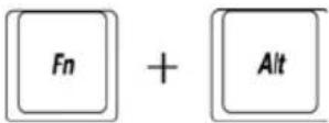 TOSHIBA Mini NB100 - Emulating keys on an enhanced keyboard - 5