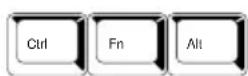 TOSHIBA Satellite 1110 - Ctrl, Fn, and Alt keys - 1