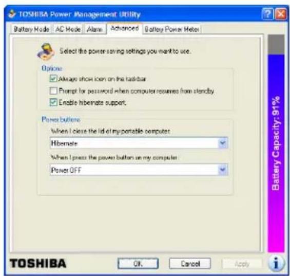 TOSHIBA Satellite 1110 - Going into Hibernation mode more quickly - 2