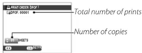 PRINT ORDER DPOF DPOF: 00001 Total number of prints Number of copies 01 SHEETS SETFR
