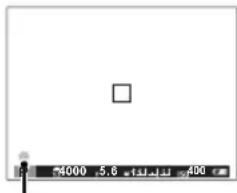 FUJIFILM X-A20 - The Focus Indicator - 1