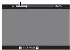 25m2s STEP PULSE