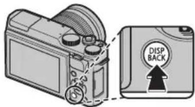 DISP BACK