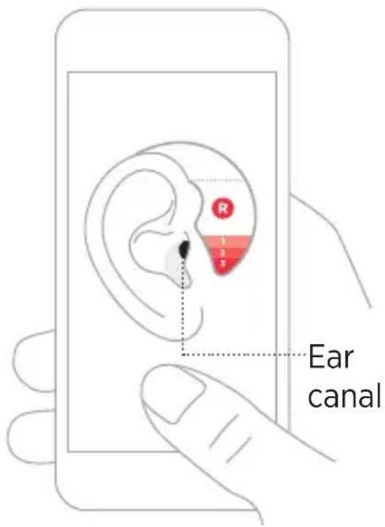 Ear canal