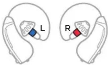 L R