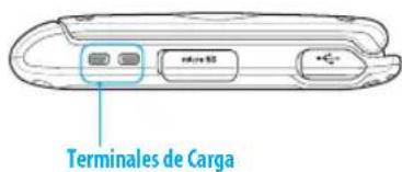 Terminal de Carga