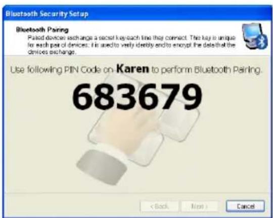 ASUS Eee PC 1000HE - Bluetooth Connection (on selected models) - 7