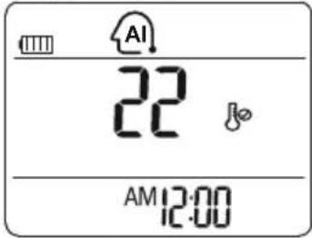 LG LSU5VF5D - Auto Changeover (Optional) - 1