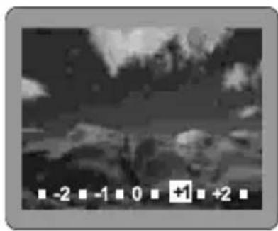 ROLLEI d330 motion - Adjusting the Exposure Compensation - 1