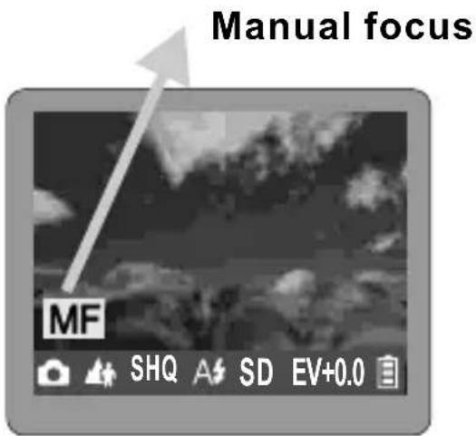 ROLLEI d330 motion - Taking Pictures (Manual Focus) - 1