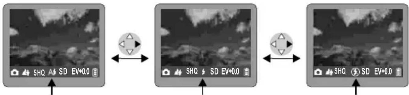 ROLLEI d330 motion - :Forced Flash Mode - 1