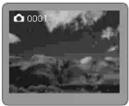 ROLLEI d330 motion - Auto Playback - 1