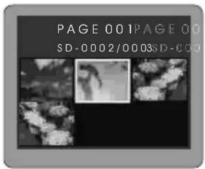 ROLLEI d330 motion - Multi-Image Replay (▶) - 1