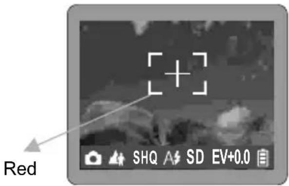 ROLLEI d330 motion - Press the shutter button - 1