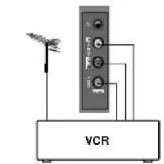 LG 21FX6AGE - Euro scart socket (option) - 3