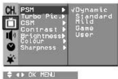 LG 21FX6AGE - PSM (Picture Status Memory) - 1