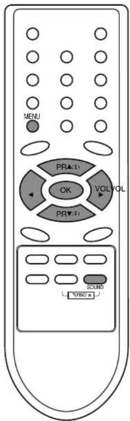 LG 21FX6AGE - Turbo sound selection (option) - 4