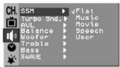 LG 21FX6AGE - SSM (Sound Status Memory) - 1