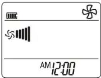 AM 12:00