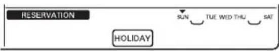 LG AMNH12GTUC0 - Programming : Holiday Reservation - 6