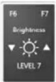 TOSHIBA Mini NB250 - Display brightness - 1